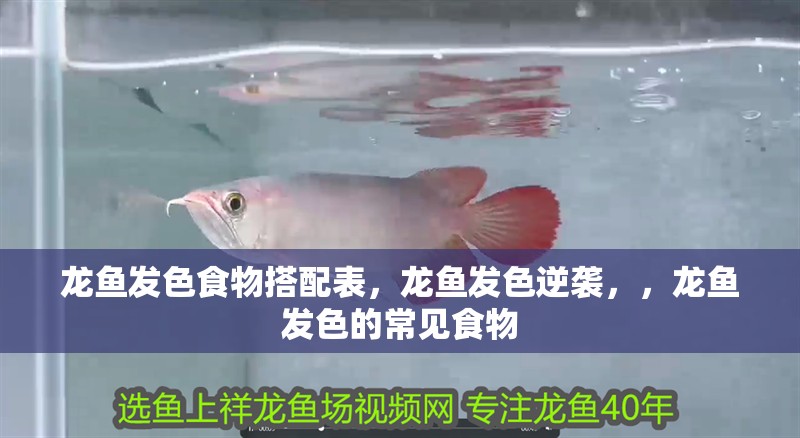 龍魚發色食物搭配表，龍魚發色逆襲，，龍魚發色的常見食物