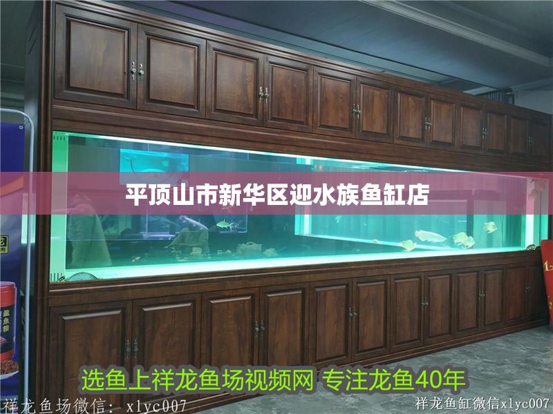 平頂山市新華區(qū)迎水族魚缸店