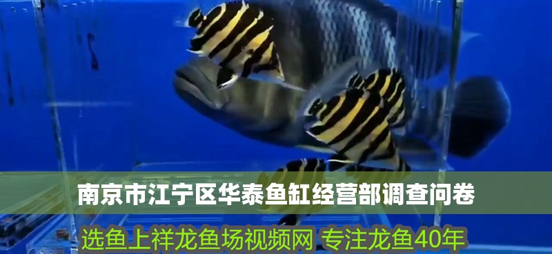 南京市江寧區(qū)華泰魚缸經(jīng)營部調(diào)查問卷