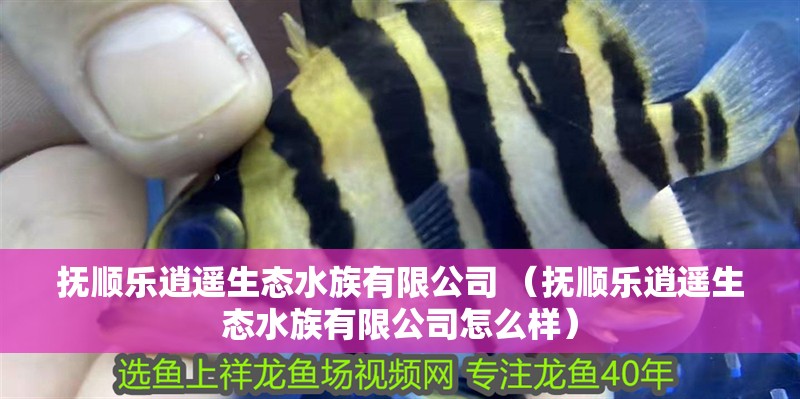 撫順樂逍遙生態水族有限公司 （撫順樂逍遙生態水族有限公司怎么樣）