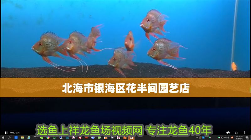 北海市銀海區(qū)花半間園藝店