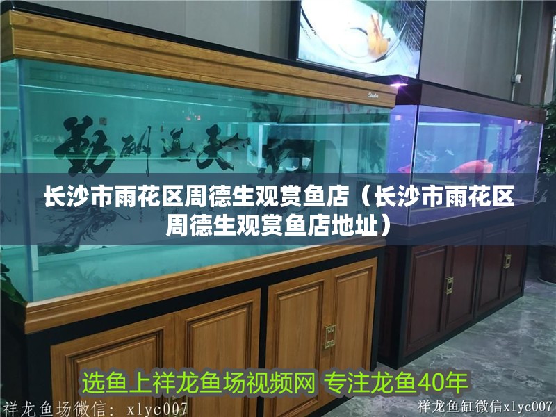 我的虎魚真菌感染了要怎么處理 長沙市雨花區(qū)周德生觀賞魚店(長沙市雨花區(qū)周德生觀賞魚店地址) 全國水族館企業(yè)名錄 長沙市雨花區(qū)周德生觀賞魚店(長沙市雨花區(qū)周德生觀賞魚店地址) 長沙市雨花區(qū)周德生觀賞魚店(長沙市雨花區(qū)周德生觀賞魚店地址) 全國水族館企業(yè)名錄