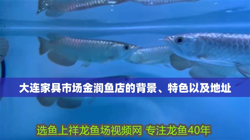 大連家具市場金潤魚店的背景、特色以及地址