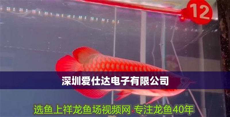<strong><mark>深圳</mark></strong>愛仕達電子有限公司