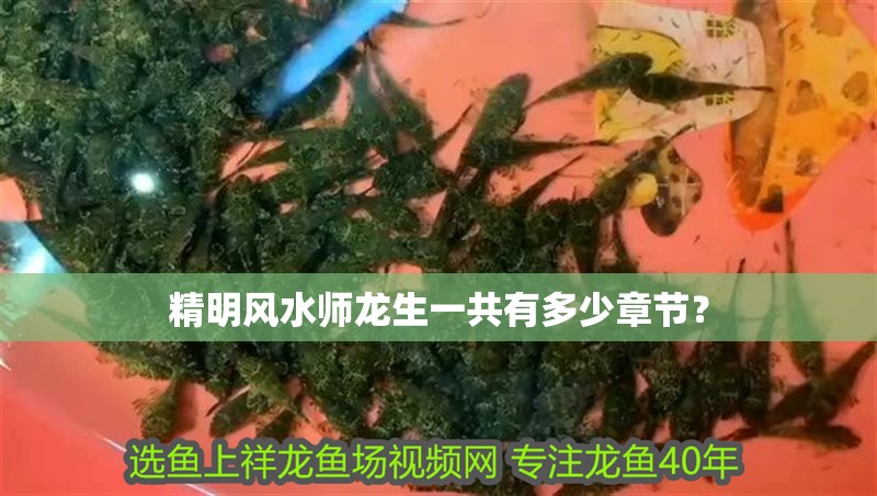 精明風水師龍生一共有多少章節？