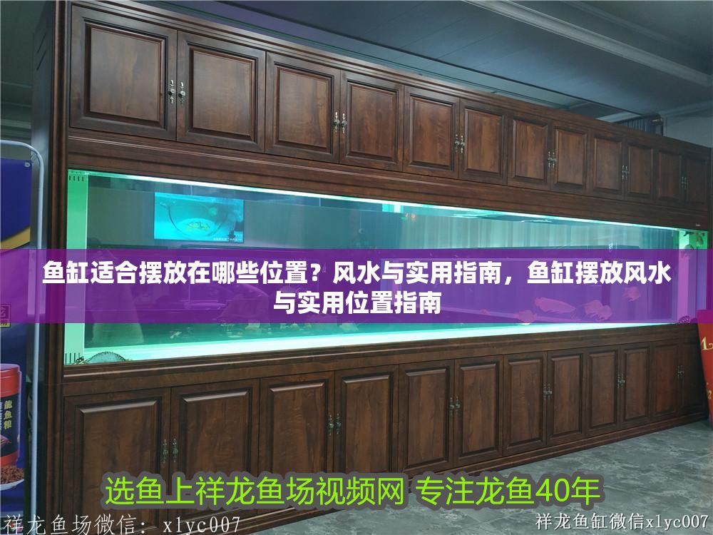魚缸適合擺放在哪些位置？風水與實用指南，魚缸擺放風水與實用位置指南 魚缸適合擺放在哪些位置？風水與實用指南，魚缸擺放風水與實用位置指南 龍魚百科 第1張