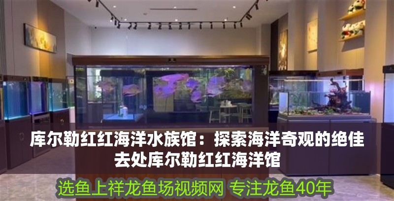 庫爾勒紅紅海洋水族館：探索海洋奇觀的絕佳去處庫爾勒紅紅海洋館