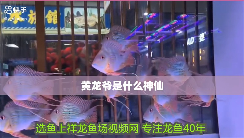 黃龍爺是什么神仙