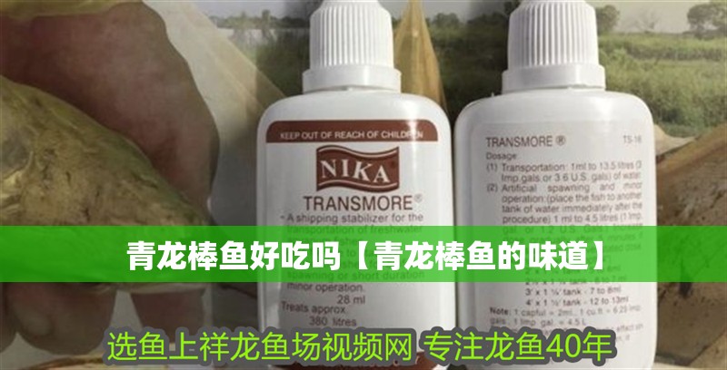 魚缸用增氧泵價格是多少:魚缸增氧機-xtrac增氧機-xtrac增氧機 青龍棒魚好吃嗎【青龍棒魚的味道】 龍魚論壇 青龍棒魚好吃嗎【青龍棒魚的味道】 青龍棒魚好吃嗎【青龍棒魚的味道】 龍魚論壇