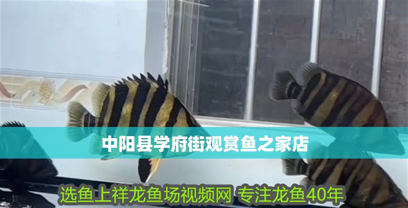 中陽縣學府街觀賞魚之家店