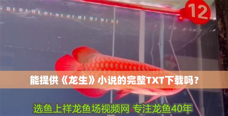 能提供《龍生》小說的完整TXT下載嗎？