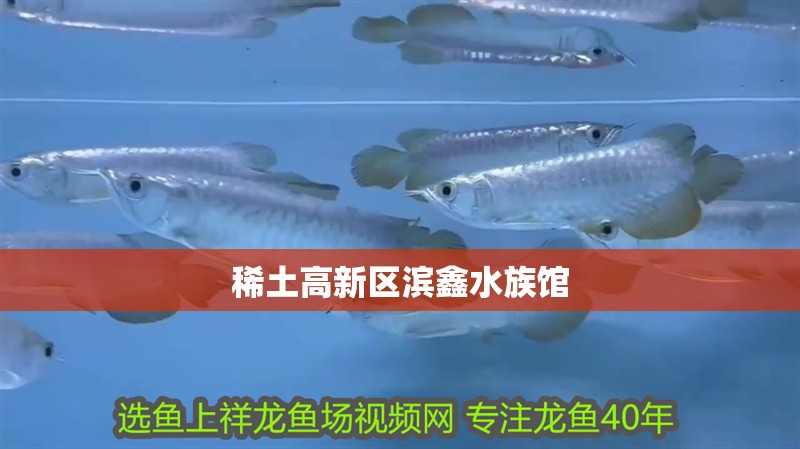 稀土高新區濱鑫水族館 稀土高新區濱鑫水族館 全國水族館企業名錄