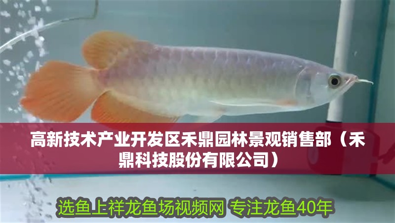 高新技術產業開發區禾鼎園林景觀銷售部（禾鼎科技股份有限公司）