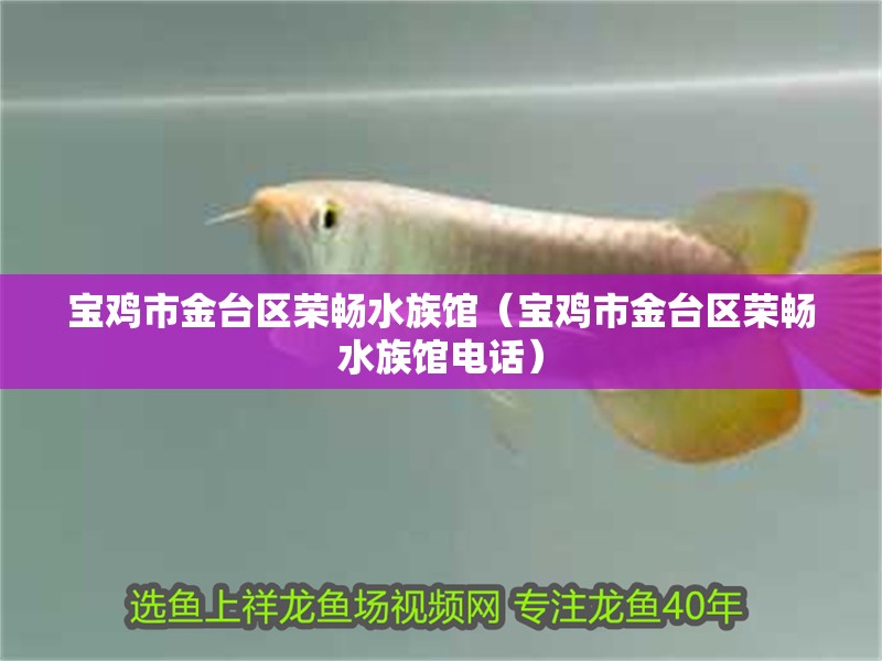 寶雞市金臺區榮暢水族館（寶雞市金臺區榮暢水族館電話） 寶雞市金臺區榮暢水族館（寶雞市金臺區榮暢水族館電話） 全國水族館企業名錄