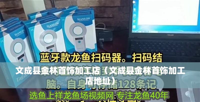 <strong><mark>文成</mark></strong>縣金林首飾加工店（<strong><mark>文成</mark></strong>縣金林首飾加工店地址）