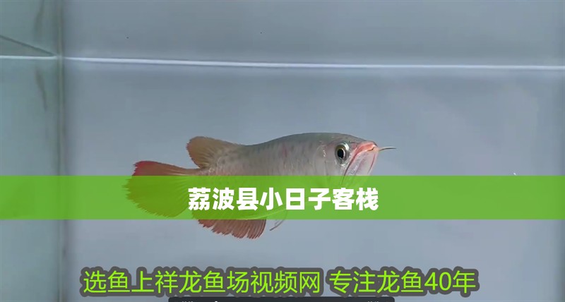 荔波縣小日子客棧 荔波縣小日子客棧 全國(guó)水族館企業(yè)名錄