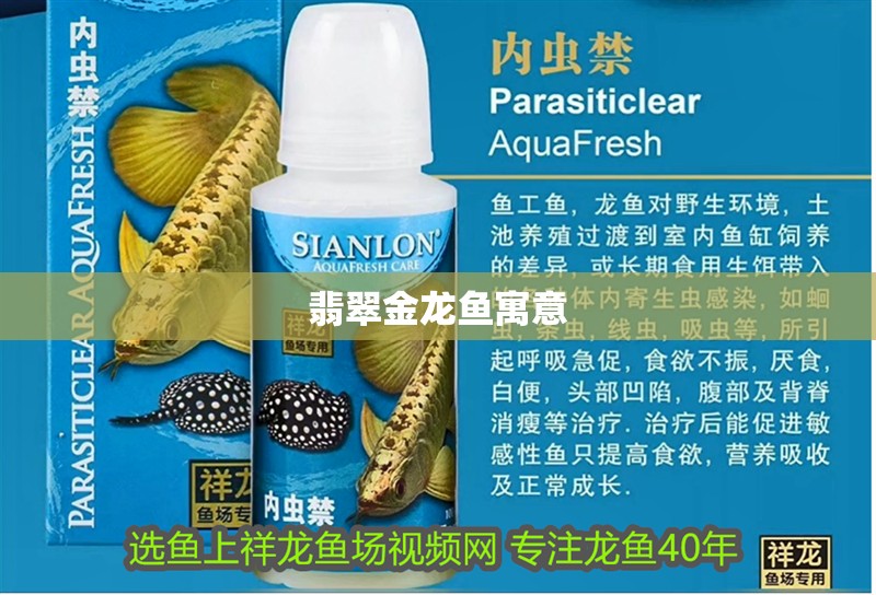 翡翠金龍魚寓意