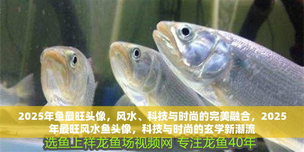 2025年魚最旺頭像，風水、科技與時尚的完美融合，2025年最旺風水魚頭像，科技與時尚的玄學新潮流