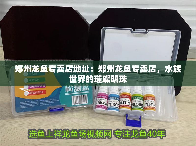 鄭州龍魚專賣店地址：鄭州龍魚專賣店，水族世界的璀璨明珠
