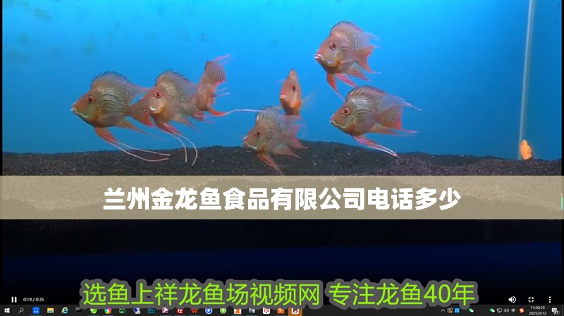 蘭州金龍魚食品有限公司電話多少
