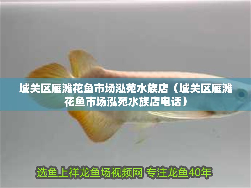 城關(guān)區(qū)雁灘花魚市場(chǎng)泓苑水族店（城關(guān)區(qū)雁灘花魚市場(chǎng)泓苑水族店電話）