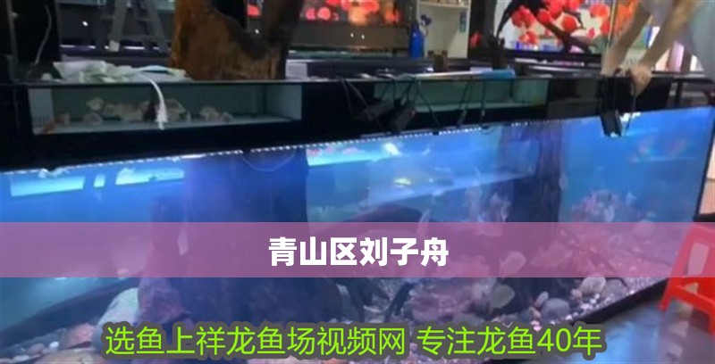 青山區(qū)劉子舟