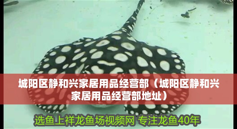 城陽區靜和興家居用品經營部（城陽區靜和興家居用品經營部地址）