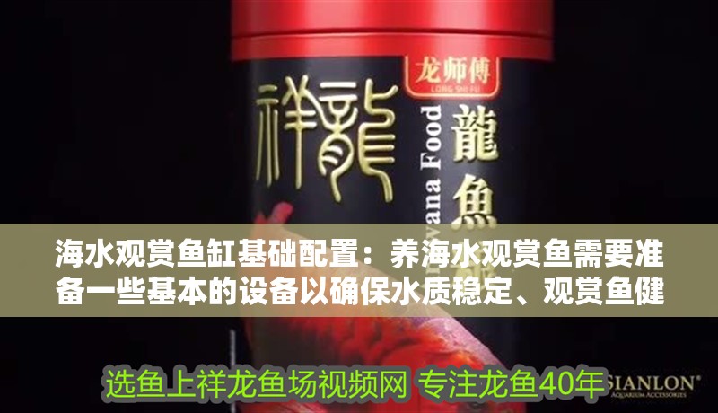 海水觀賞魚缸基礎(chǔ)配置：養(yǎng)海水觀賞魚需要準(zhǔn)備一些基本的設(shè)備以確保水質(zhì)穩(wěn)定、觀賞魚健康生長
