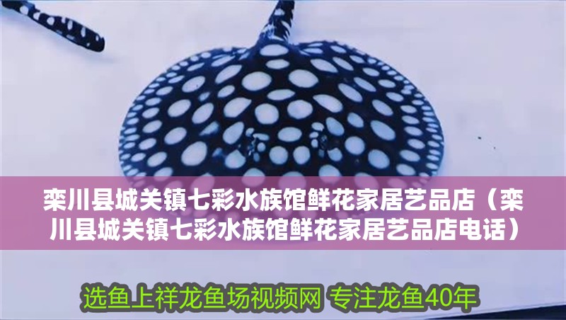 欒川縣城關(guān)鎮(zhèn)七彩水族館鮮花家居藝品店（欒川縣城關(guān)鎮(zhèn)七彩水族館鮮花家居藝品店電話(huà)） 欒川縣城關(guān)鎮(zhèn)七彩水族館鮮花家居藝品店（欒川縣城關(guān)鎮(zhèn)七彩水族館鮮花家居藝品店電話(huà)） 全國(guó)水族館企業(yè)名錄