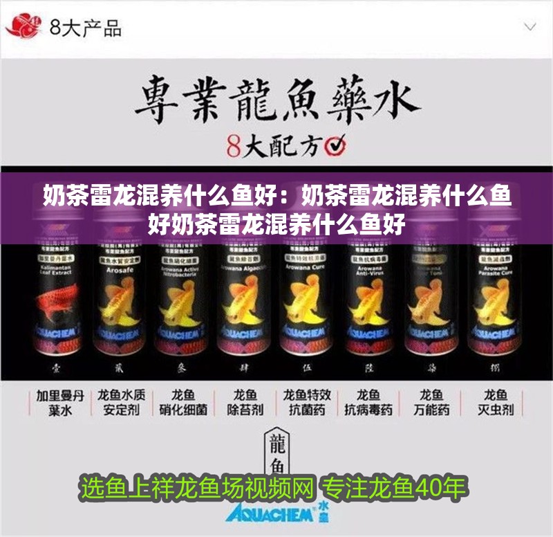 奶茶雷龍混養(yǎng)什么魚好：奶茶雷龍混養(yǎng)什么魚好奶茶雷龍混養(yǎng)什么魚好