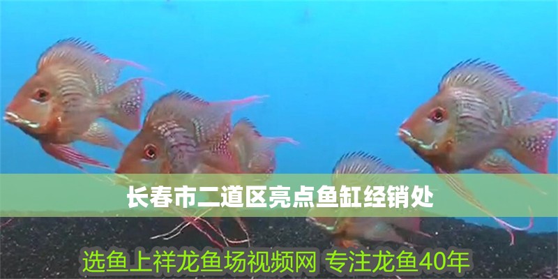 龍魚干蝦有營養嗎 長春市二道區亮點魚缸經銷處 全國水族館企業名錄 長春市二道區亮點魚缸經銷處 長春市二道區亮點魚缸經銷處 全國水族館企業名錄