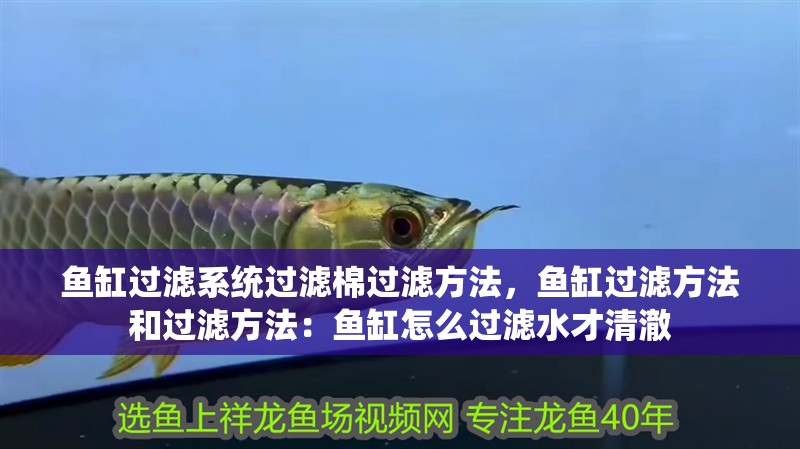 魚缸過濾系統(tǒng)過濾棉過濾方法，魚缸過濾方法和過濾方法：魚缸怎么過濾水才清澈 魚缸過濾系統(tǒng)過濾棉過濾方法，魚缸過濾方法和過濾方法：魚缸怎么過濾水才清澈 魚缸百科
