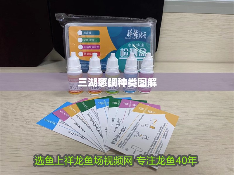 三湖慈鯛種類圖解 三湖慈鯛種類圖解 龍魚論壇