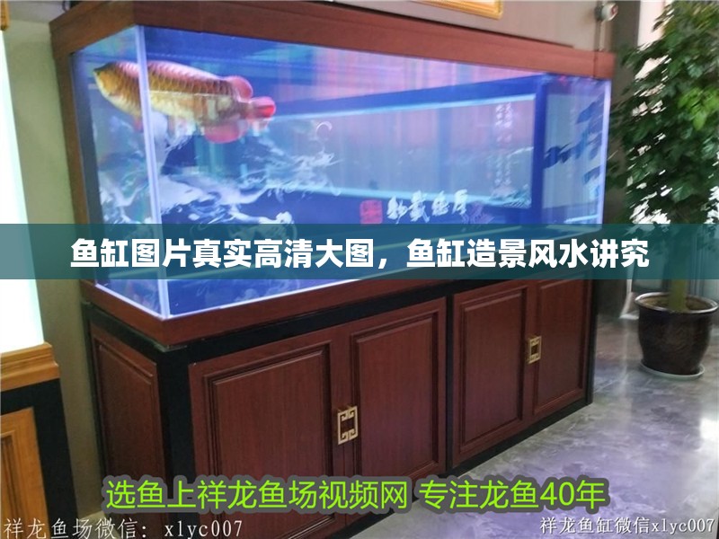 魚缸圖片真實高清大圖，魚缸造景風水講究