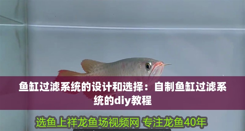 魚缸過濾系統(tǒng)的設計和選擇：自制魚缸過濾系統(tǒng)的diy教程 魚缸過濾系統(tǒng)的設計和選擇：自制魚缸過濾系統(tǒng)的diy教程 魚缸百科