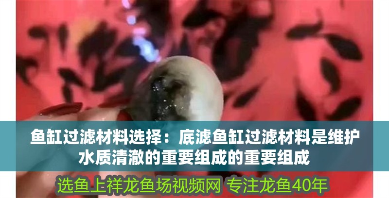 魚缸過濾材料選擇：底濾魚缸過濾材料是維護(hù)水質(zhì)清澈的重要組成的重要組成