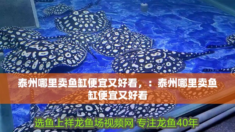 泰州哪里賣魚缸便宜又好看，：泰州哪里賣魚缸便宜又好看
