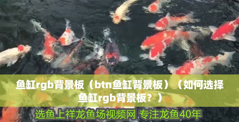 魚缸rgb背景板（btn魚缸背景板）（如何選擇魚缸rgb背景板？）