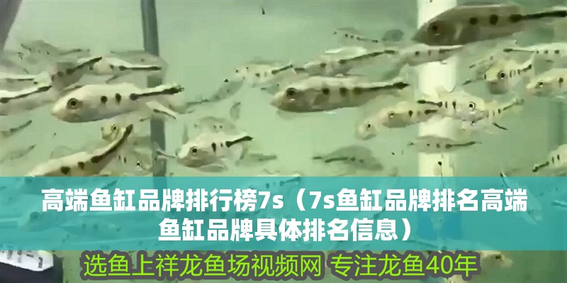 高端魚缸品牌排行榜7s（7s魚缸品牌排名高端魚缸品牌具體排名信息） 高端魚缸品牌排行榜7s（7s魚缸品牌排名高端魚缸品牌具體排名信息） 魚缸百科