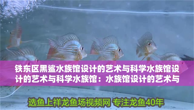 鐵東區(qū)黑鯊水族館設(shè)計的藝術(shù)與科學(xué)水族館設(shè)計的藝術(shù)與科學(xué)水族館：水族館設(shè)計的藝術(shù)與科學(xué)