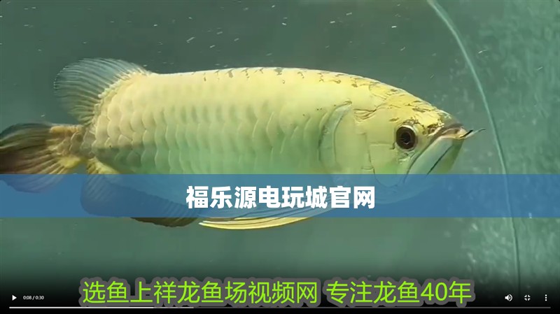 福樂源電玩城官網