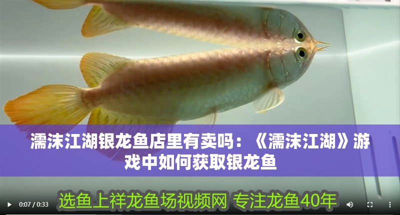 濡沫江湖銀龍魚店里有賣嗎：《濡沫江湖》游戲中如何獲取銀龍魚