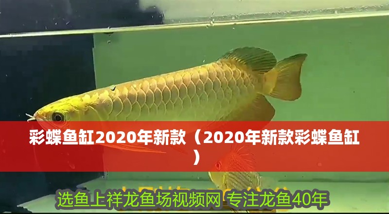 彩蝶魚缸2020年新款（2020年新款彩蝶魚缸）