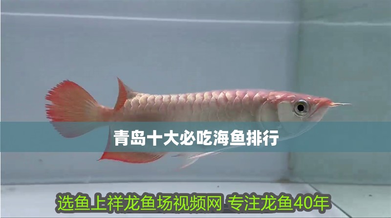 青島十大必吃海魚排行