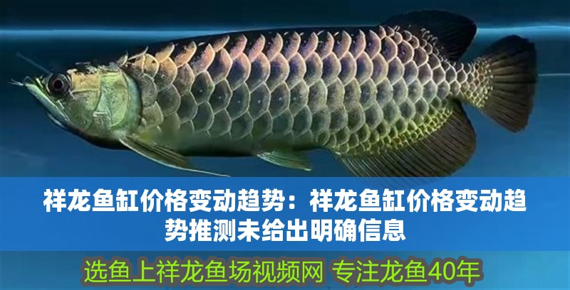 祥龍魚缸價格變動趨勢：祥龍魚缸價格變動趨勢推測未給出明確信息