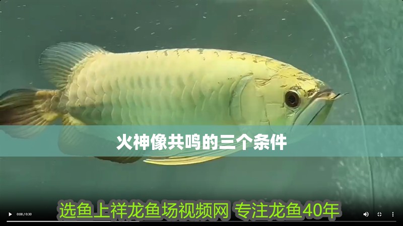 龍魚干蝦有營養嗎 火神像共鳴的三個條件 龍魚論壇 火神像共鳴的三個條件 火神像共鳴的三個條件 龍魚論壇