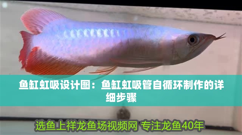魚(yú)缸虹吸設(shè)計(jì)圖：魚(yú)缸虹吸管自循環(huán)制作的詳細(xì)步驟