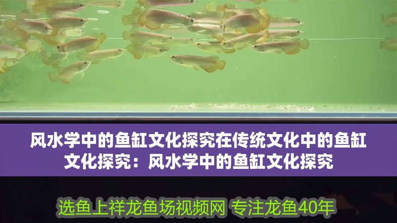風水學中的魚缸文化探究在傳統(tǒng)文化中的魚缸文化探究：風水學中的魚缸文化探究