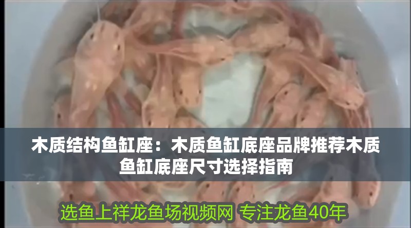木質結構魚缸座：木質魚缸底座品牌推薦木質魚缸底座尺寸選擇指南