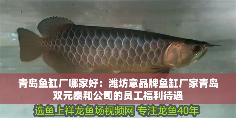 青島魚缸廠哪家好：濰坊意品牌魚缸廠家青島雙元<strong><mark>泰和</mark></strong>公司的員工福利待遇
